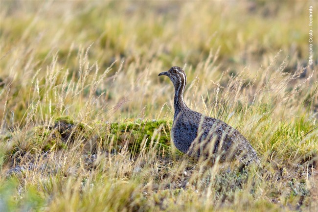 Image title Image description